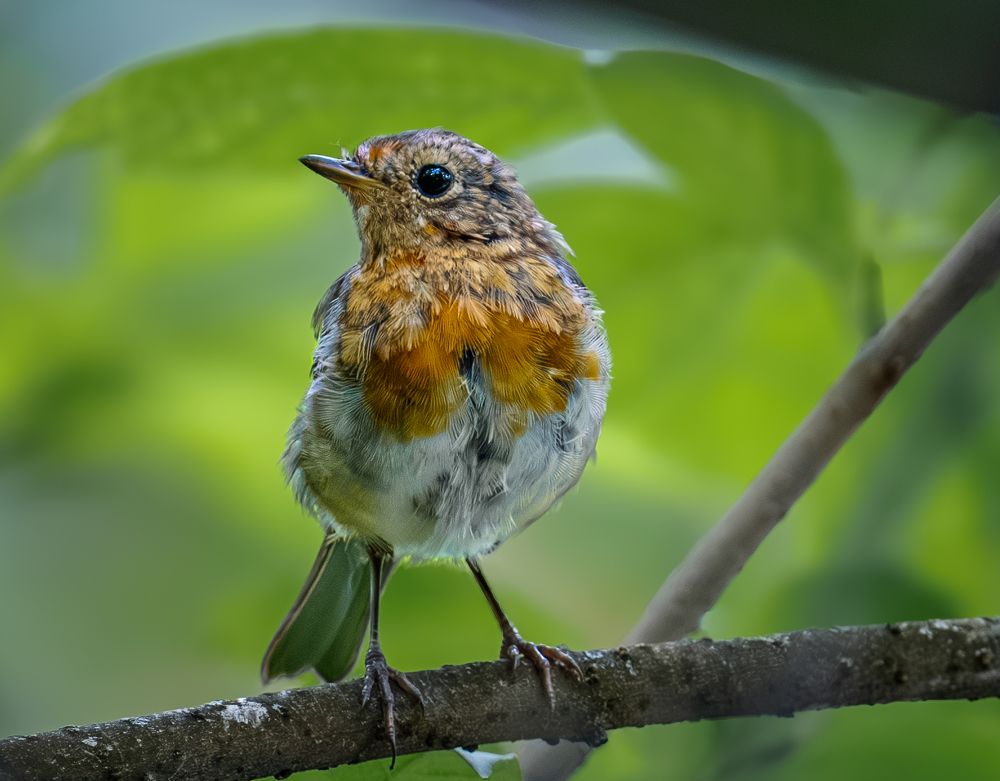 Photograph by Курлянцев Алексей