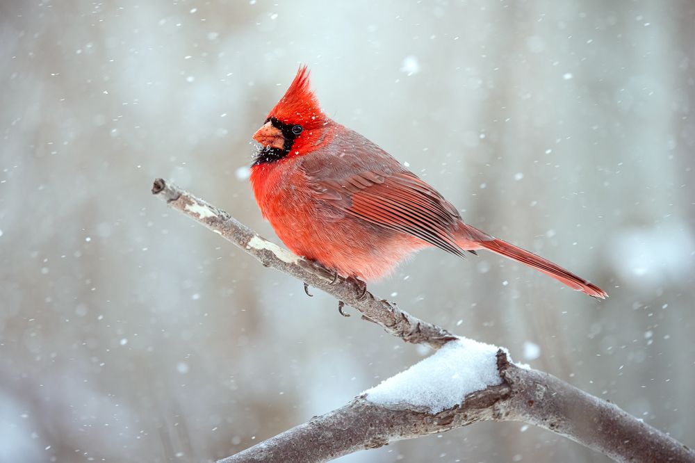 Photograph by Zhenhuan Zhou