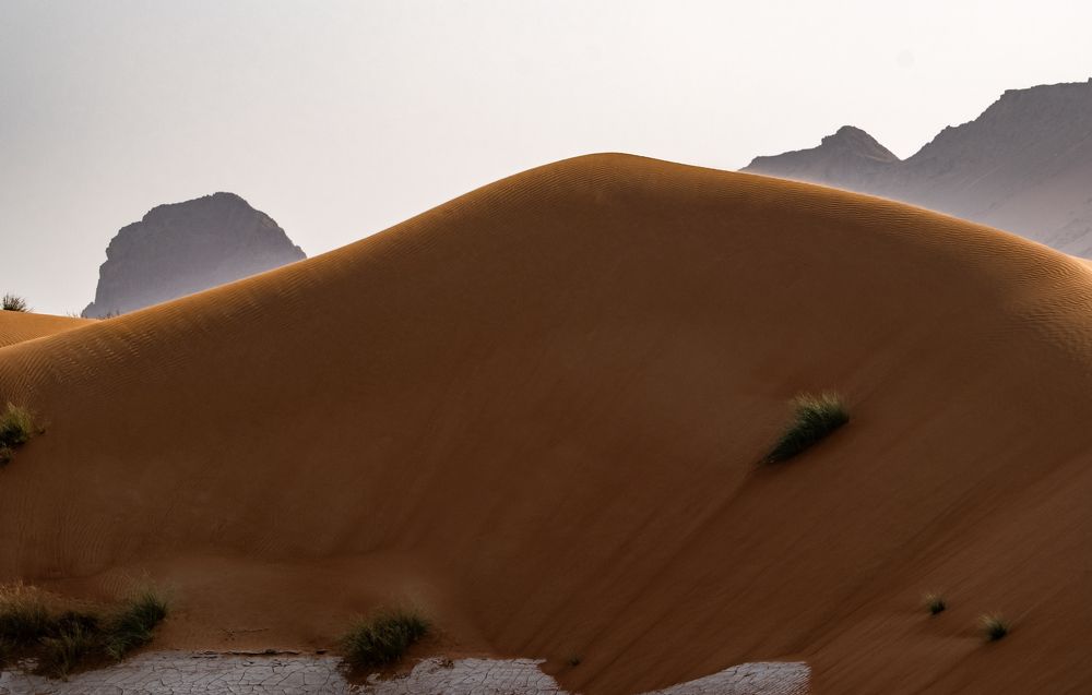 Фотография автора Abie Davies Thekkanath