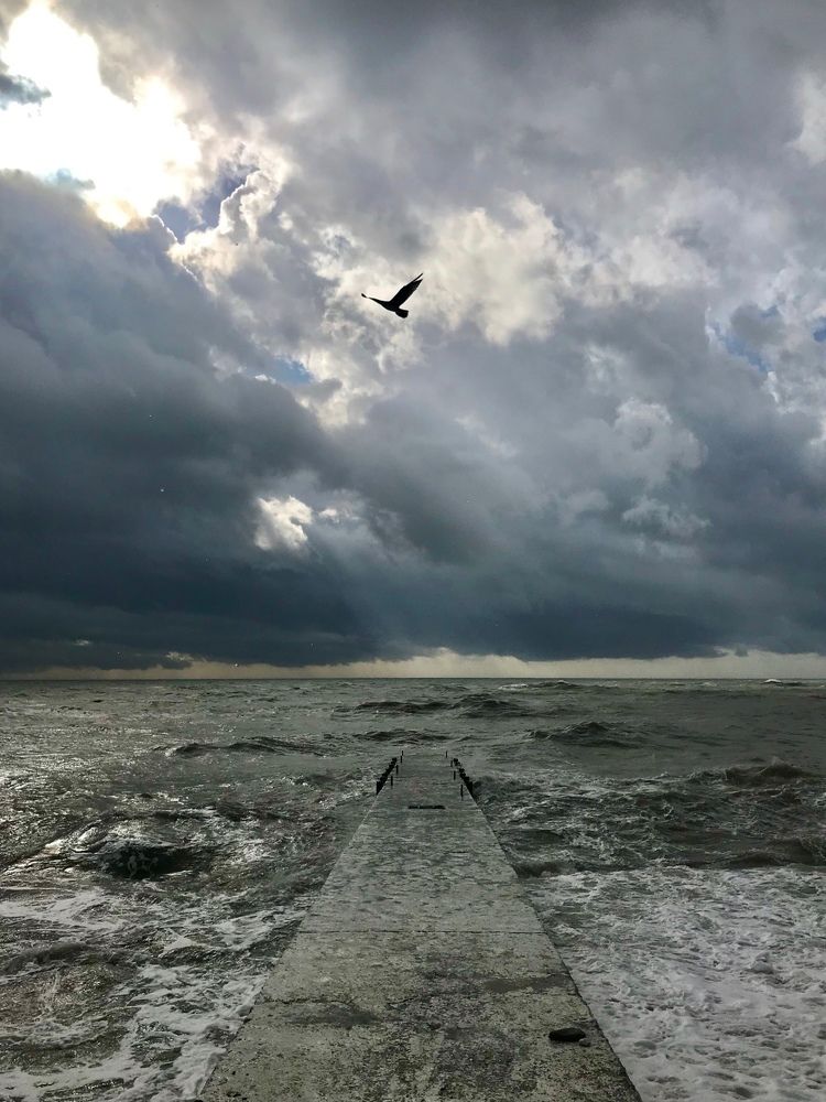 Фотография автора Екатерина