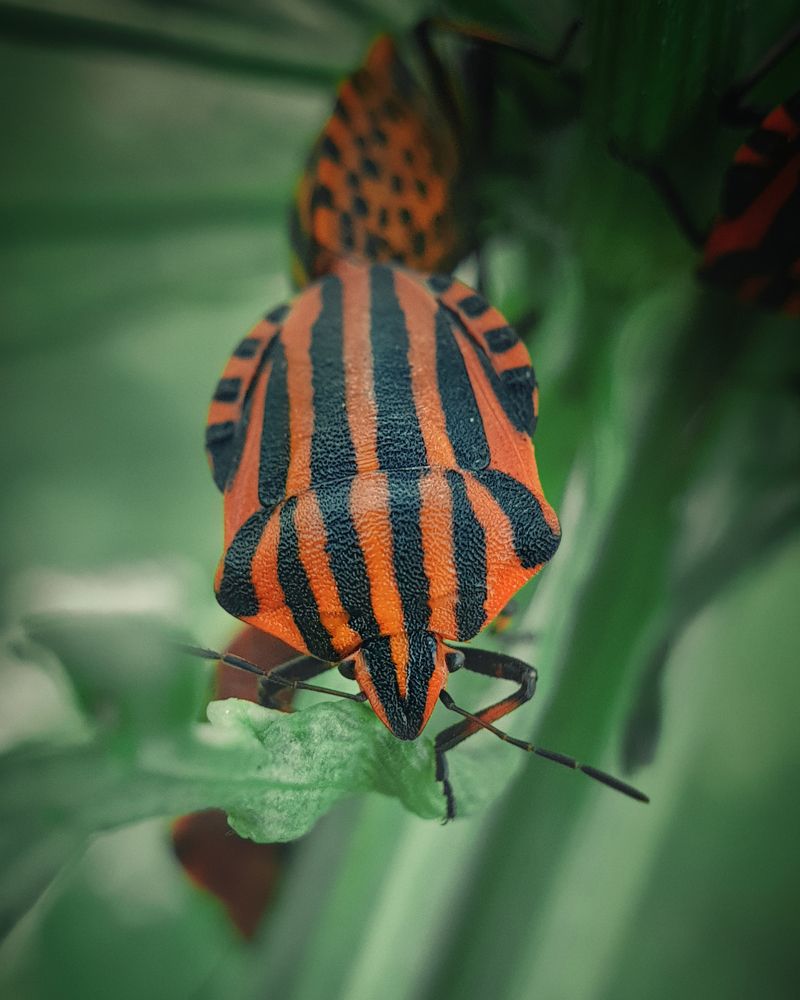 Photograph by Дмитрий Гребнев