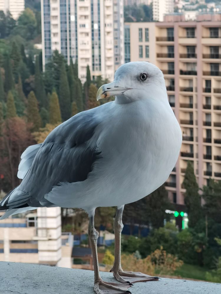 Photograph by Наталья Круглова