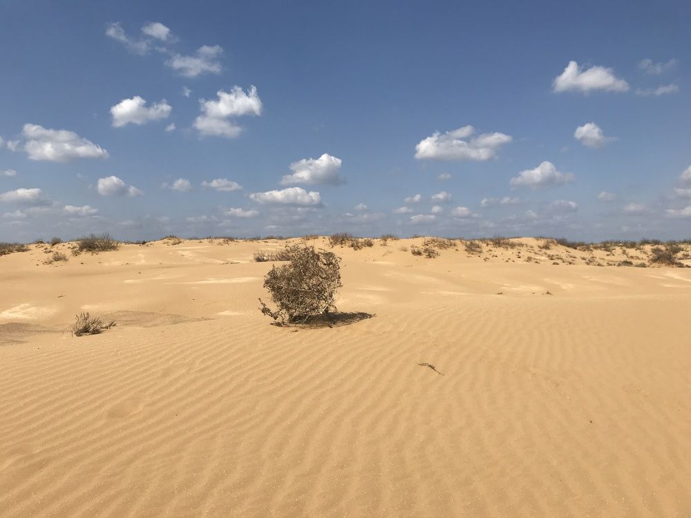 Photograph by Александр Новиков