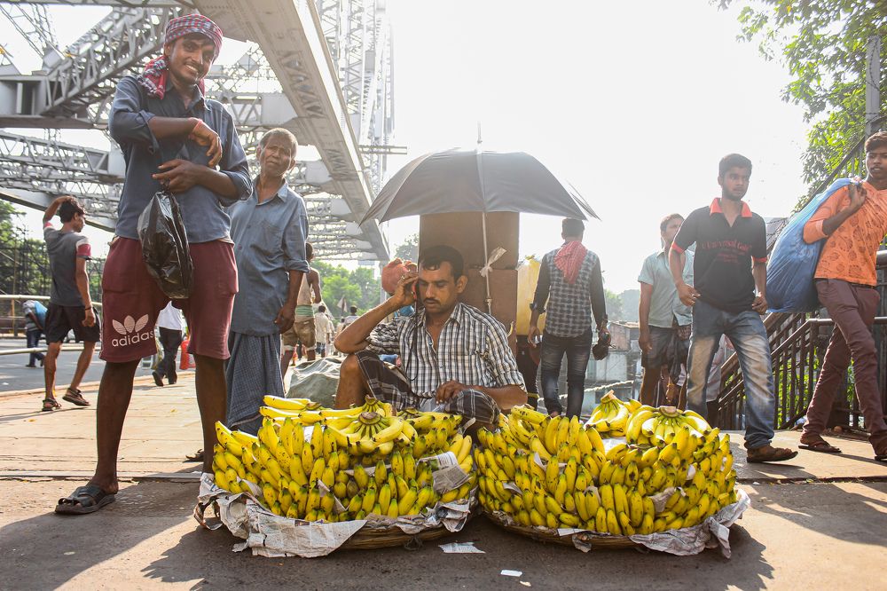 Фотография автора Mohammad Asif