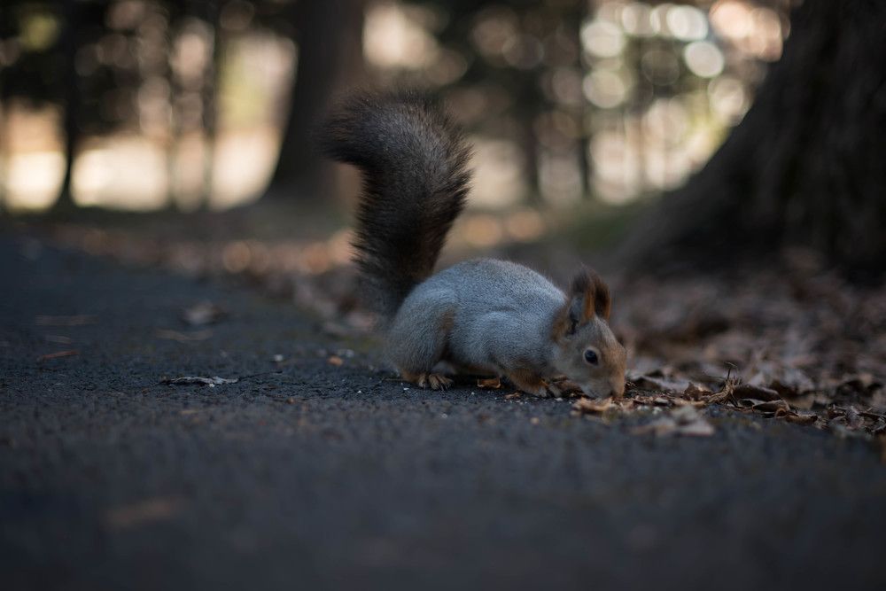 Photograph by Наталья Сорокина