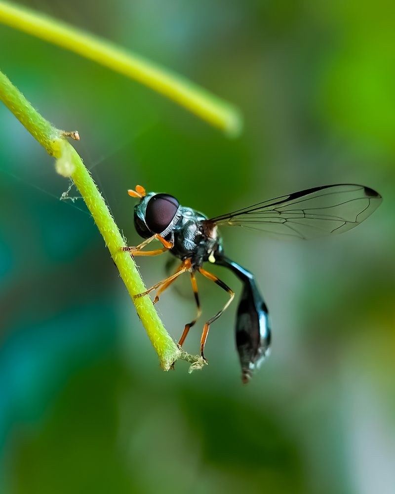 Photograph by Praveen