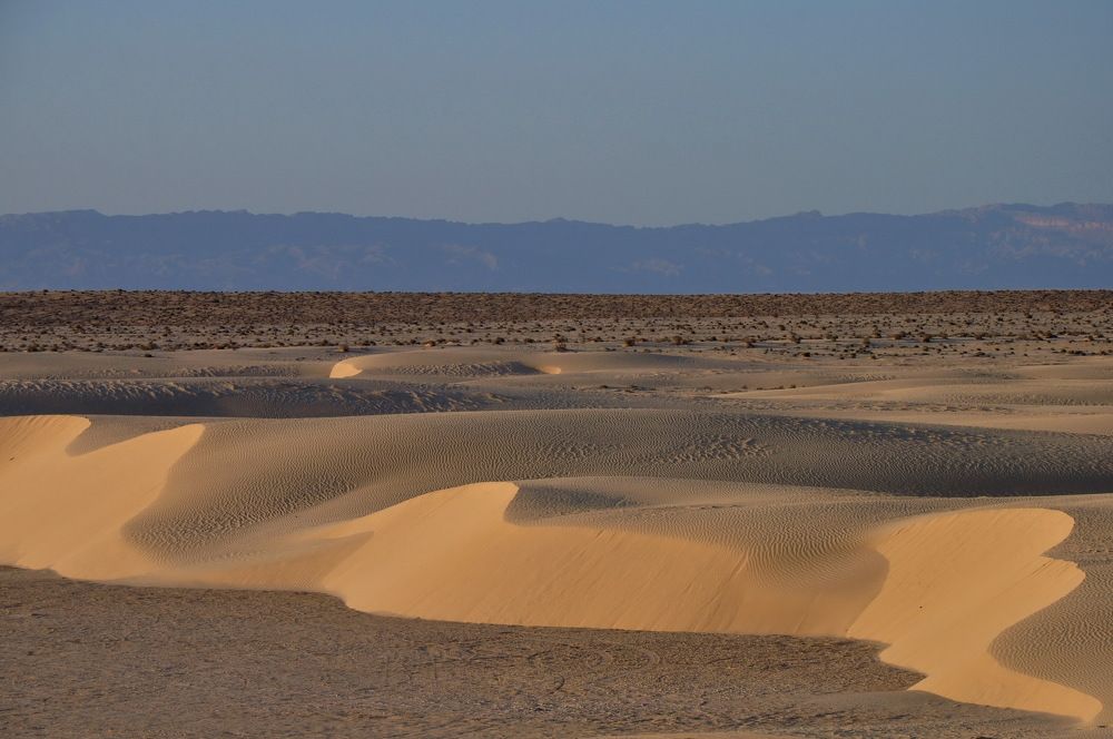 Photograph by Ольга Шуякова