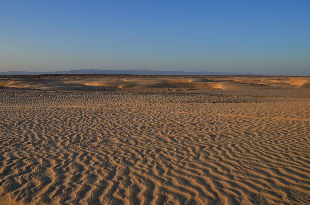 Photograph by Ольга Шуякова