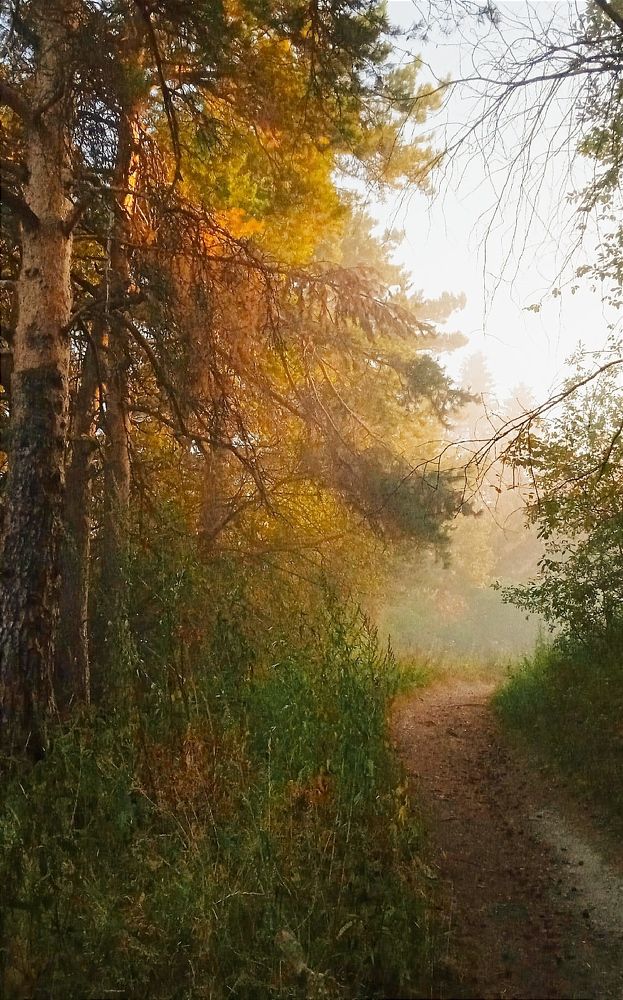 Photograph by Евсеева Валентина