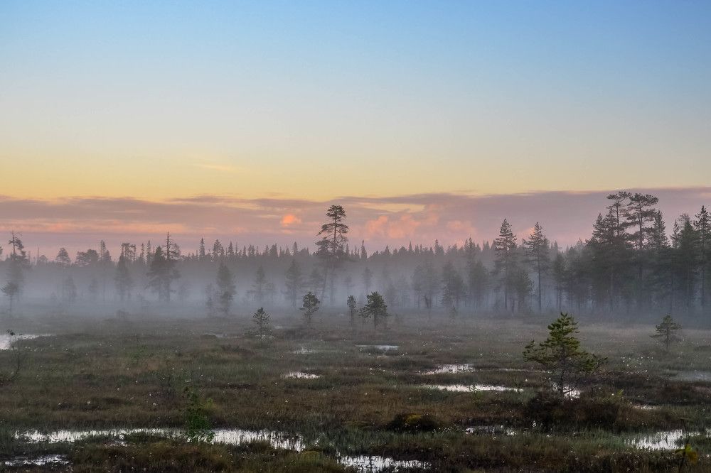 Photograph by Епишев Андрей