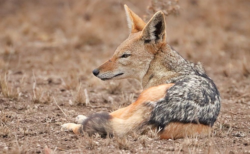 Photograph by Jacques Nel