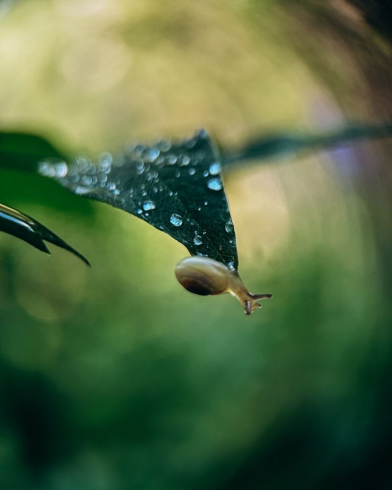 Фотография автора Юля