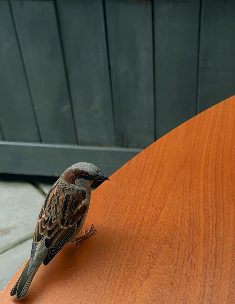 Фотография автора Юля