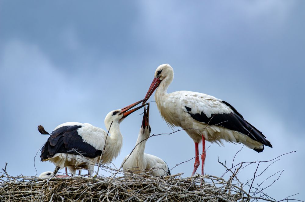 Photograph by Oksana Kuzmina