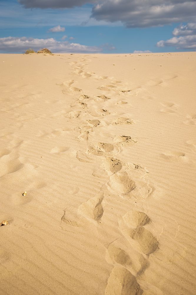 Photograph by Сергей Шестов