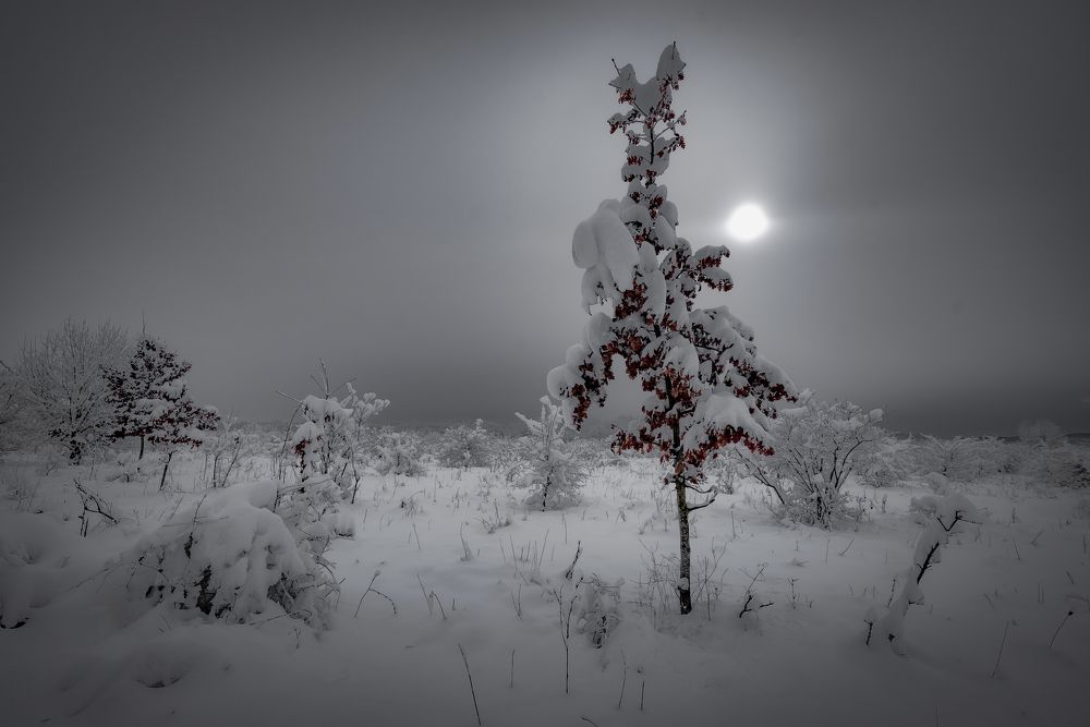 Photograph by Алексей Мякота