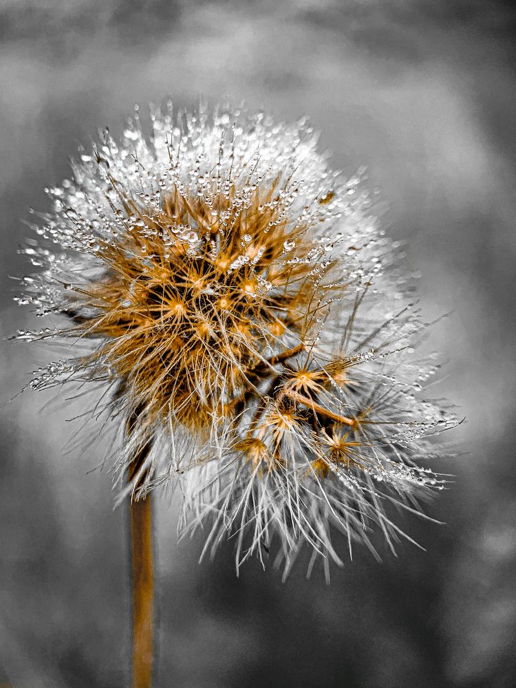 Photograph by Tatiana Grinko