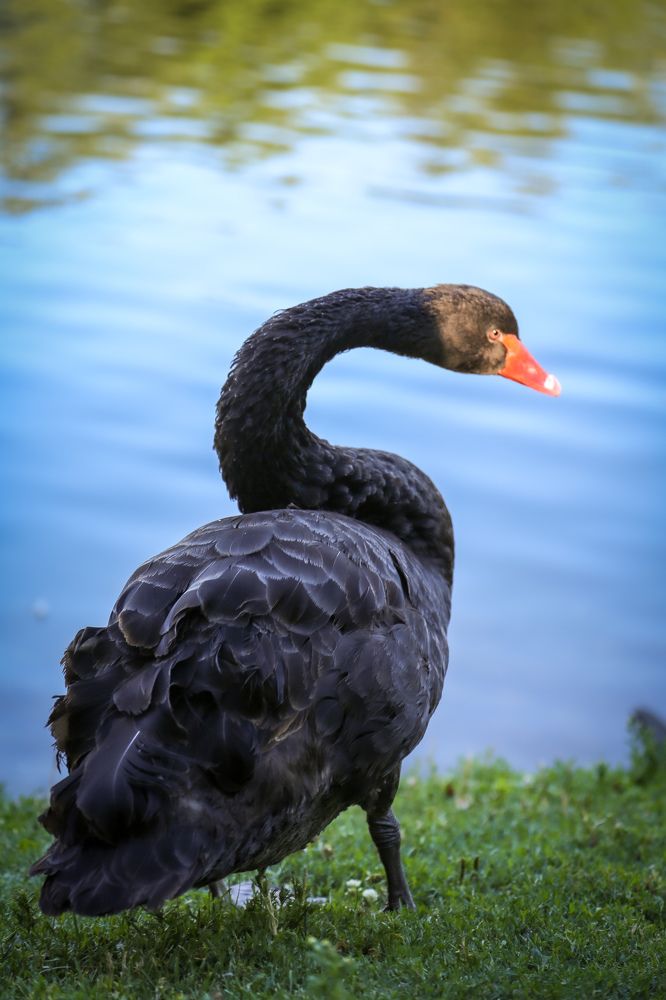 Photograph by Елена Болдырева