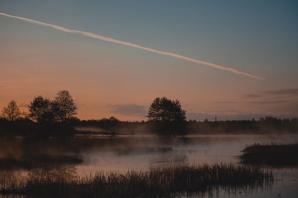 Фотография автора Ирина Шестакова