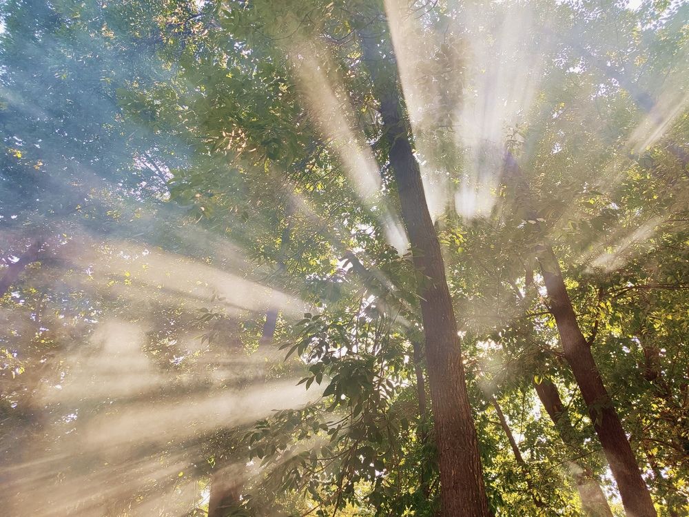 Photograph by Ирина Половцева