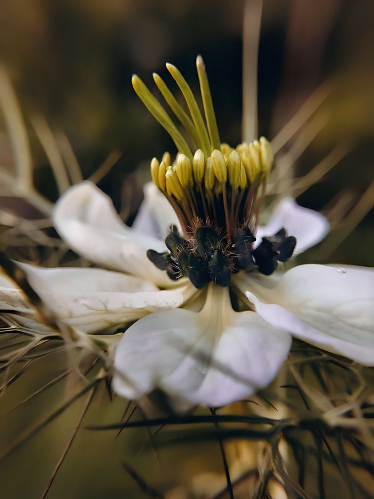 Photograph by Анастасия Дынина