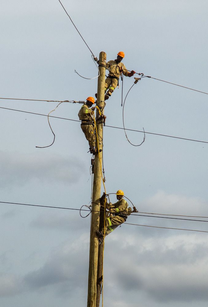 Photograph by Walter Fogel