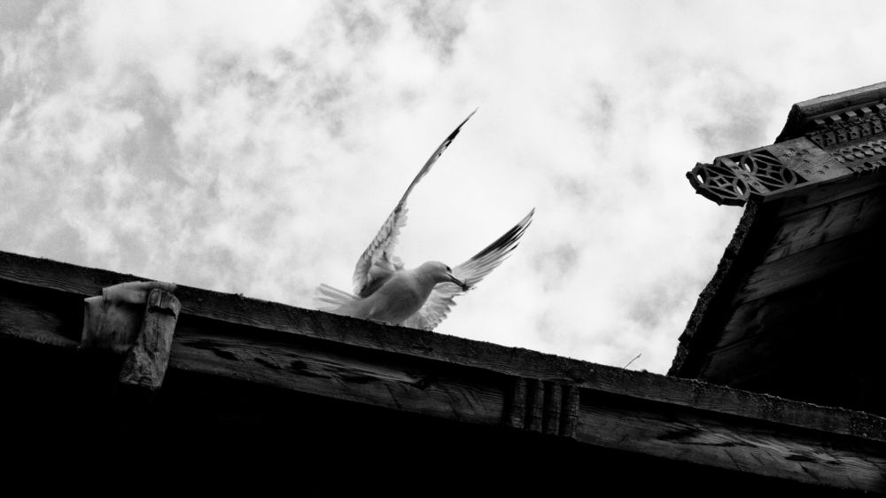 Photograph by Наталья Ерохина