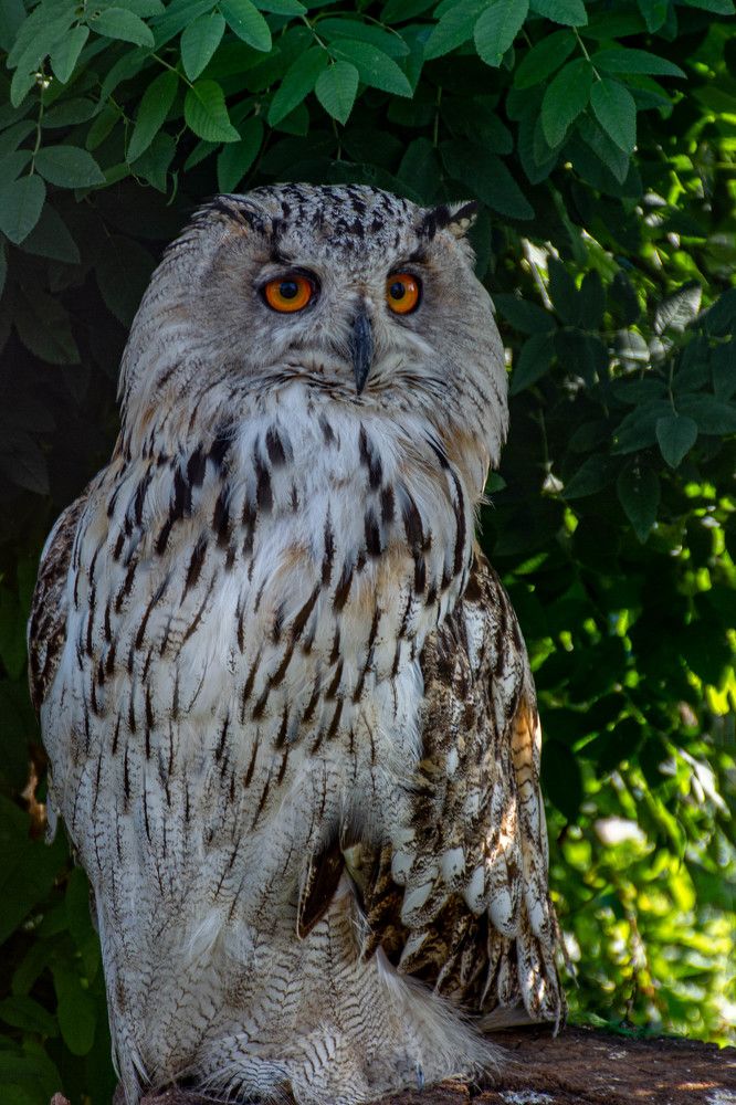 Photograph by Людмила