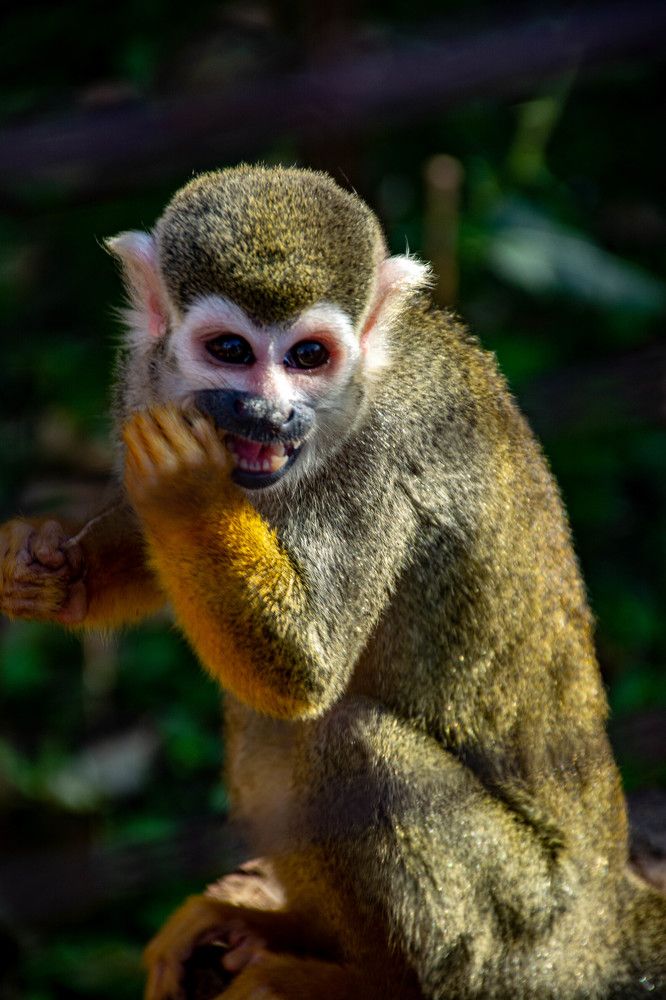 Photograph by Людмила