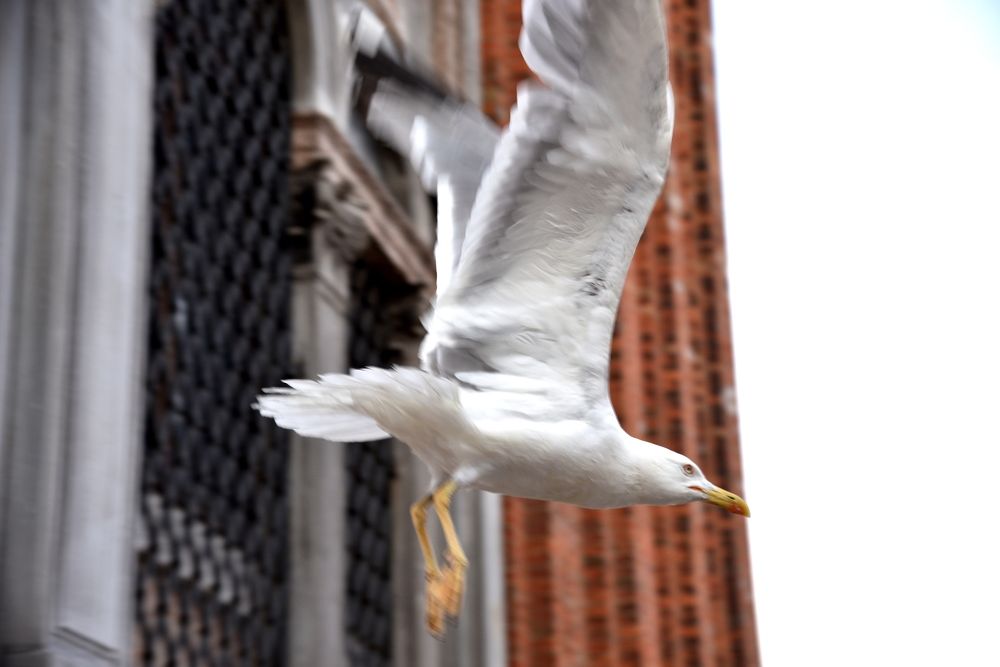 Photograph by Oleg Kogut