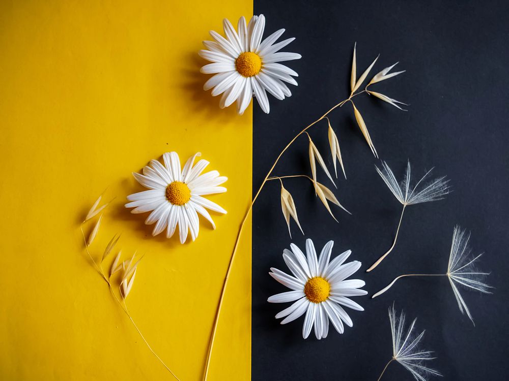 Photograph by Angie Odeh