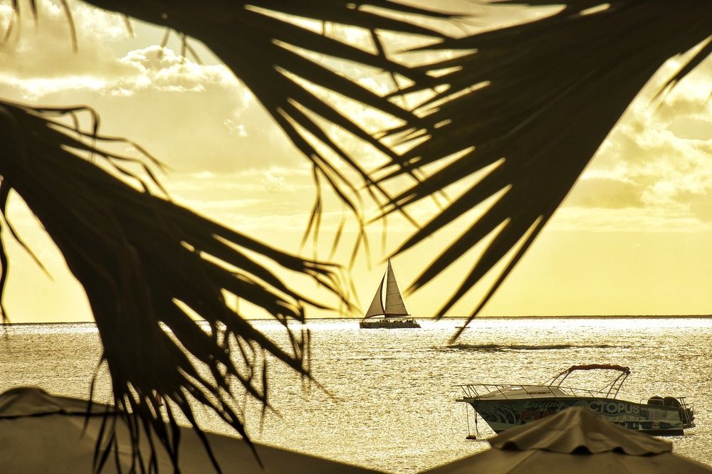 Photograph by LOUISE Benoit