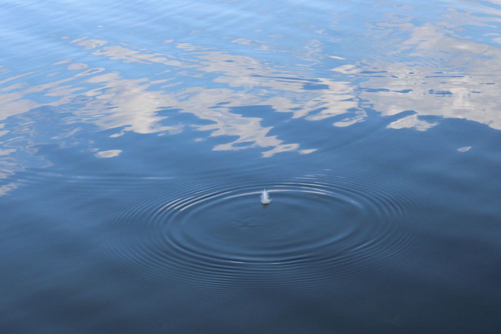 Photograph by Елена Коробченко