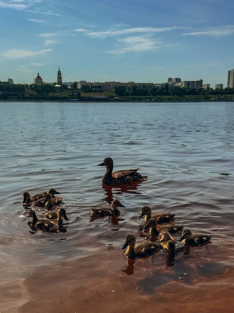 Фотография автора Юля