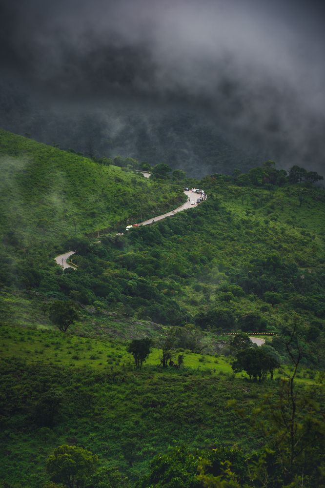 Landscape from chikmangalore