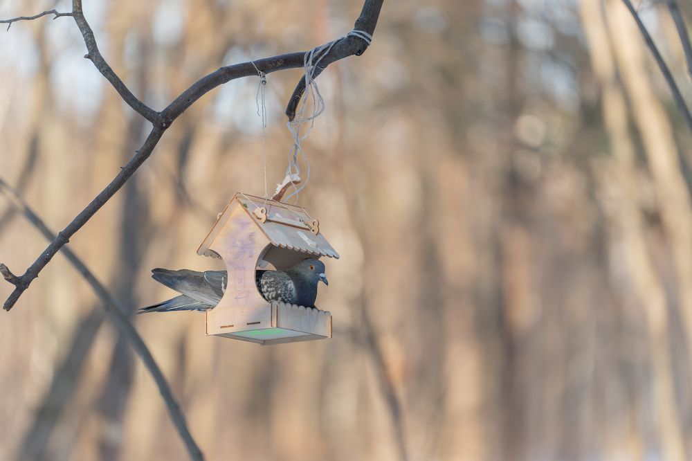 Photograph by Olesya Vladimirova