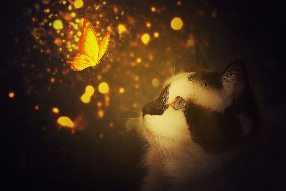 Photograph by Angelika Martko