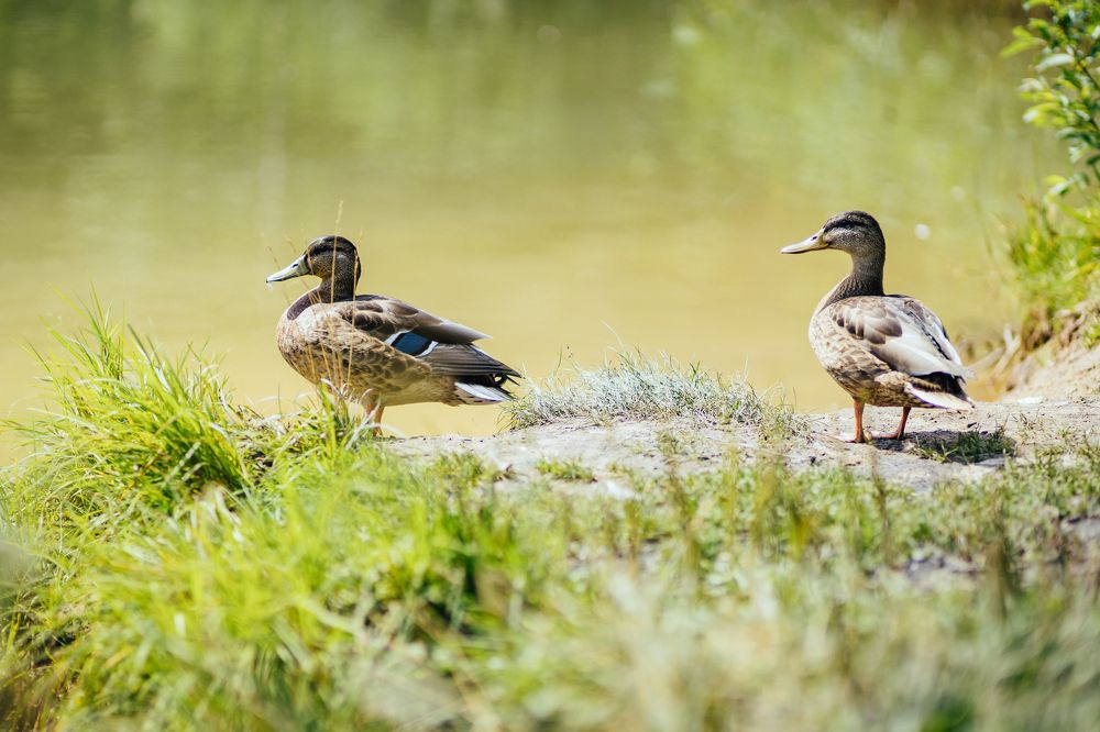 Photograph by Сергей Белокуров
