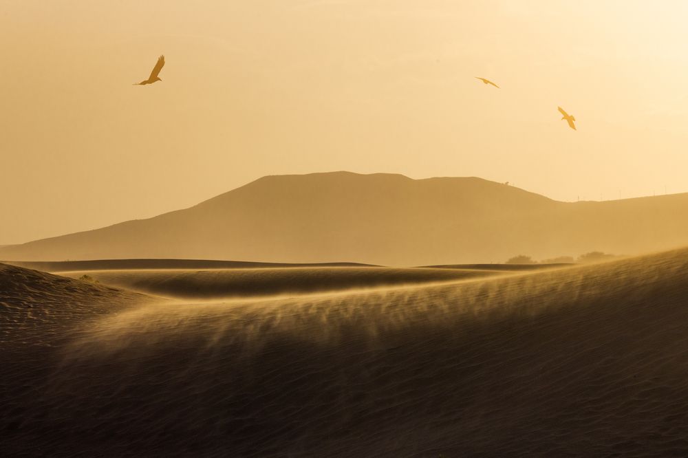 Photograph by JIANSHU CHEN