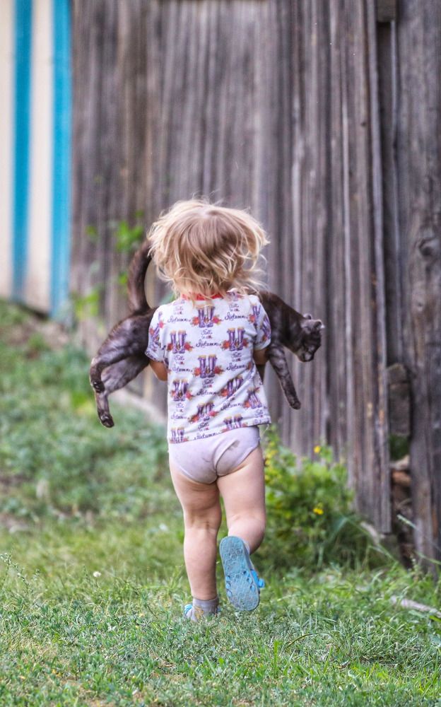 Это мой кот