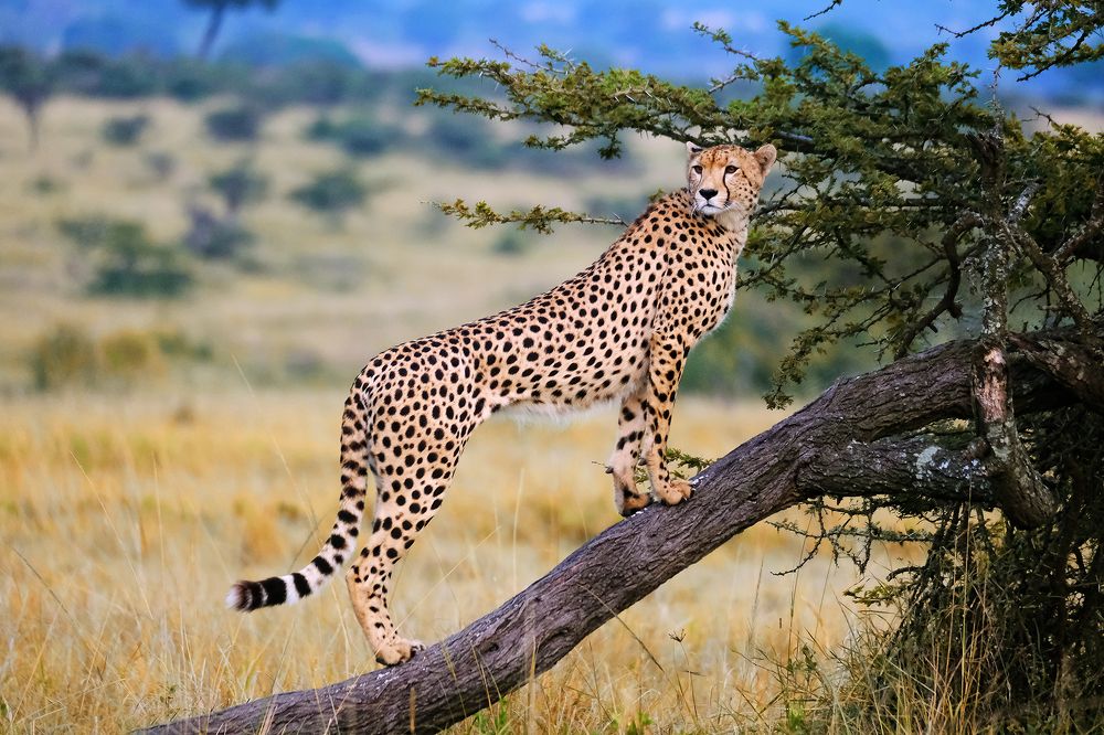 Photograph by Ирина Худзинская