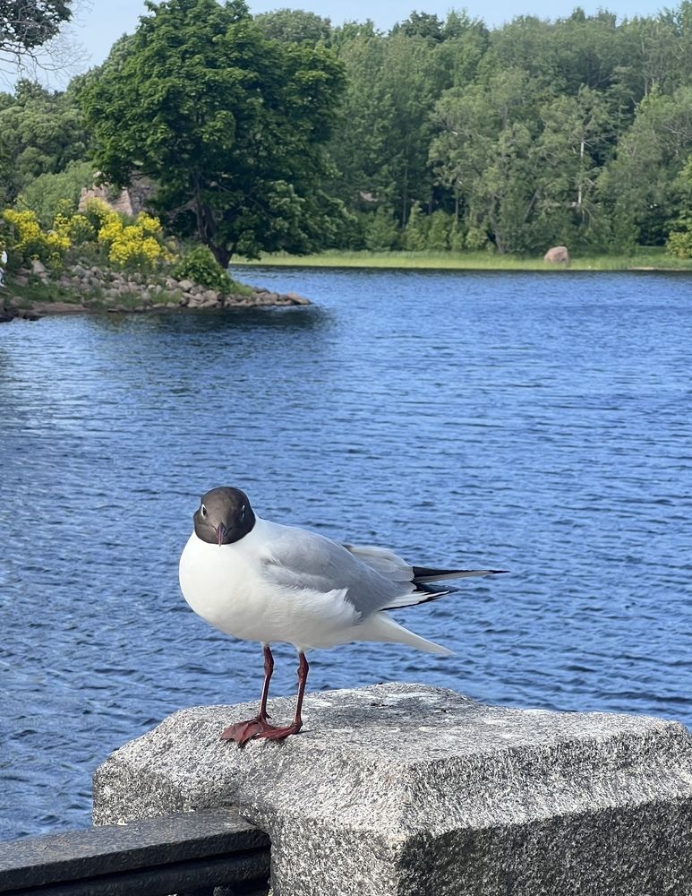 Photograph by Александра Акси