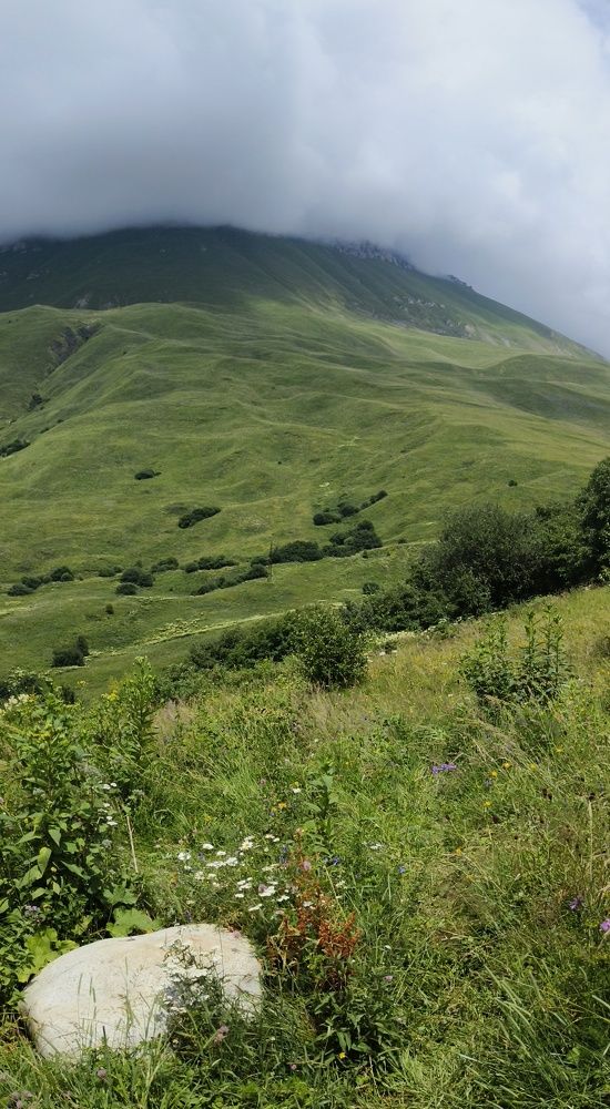 Горы Осетии. В ожидании дождя