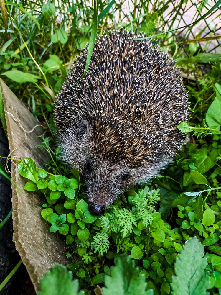 Photograph by Людмила