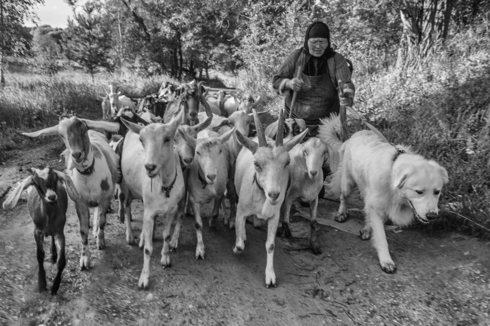 Фотография автора Виталий Подгурченко