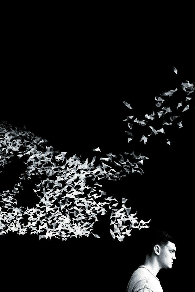 Photograph by Marco Wilm