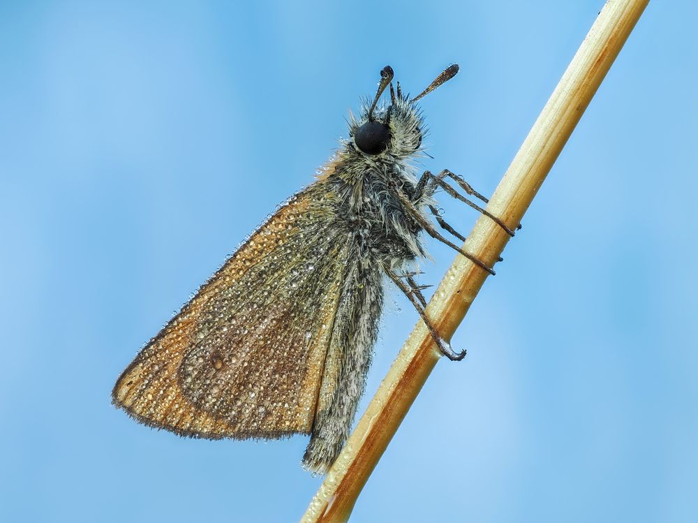 Photograph by Глеб Коровко