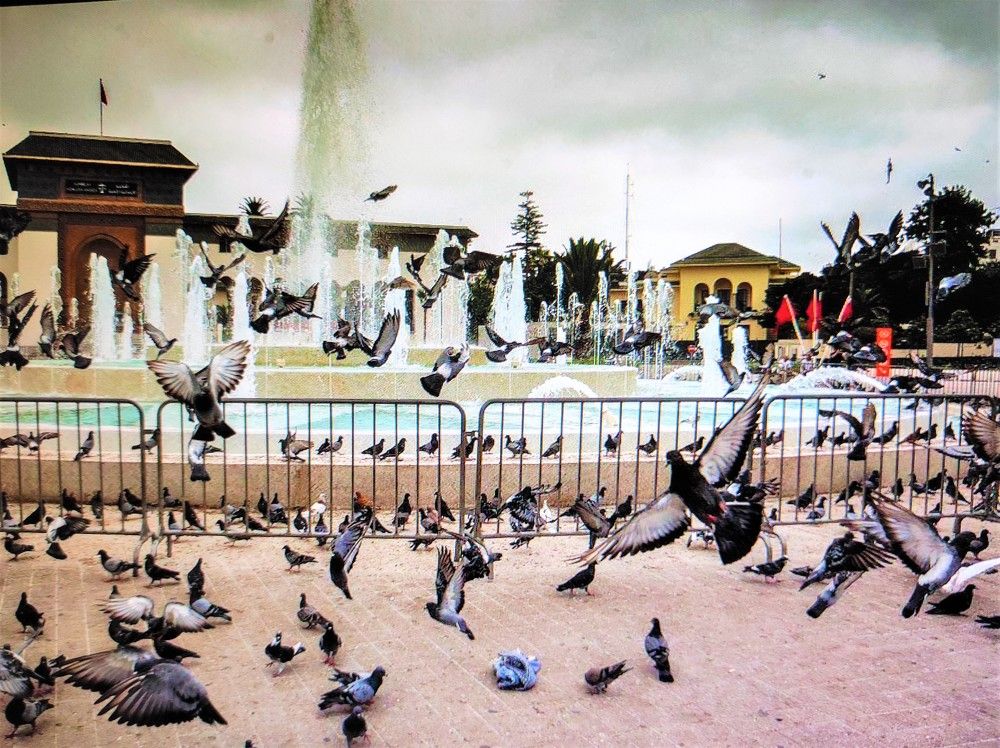 Photograph by Галина