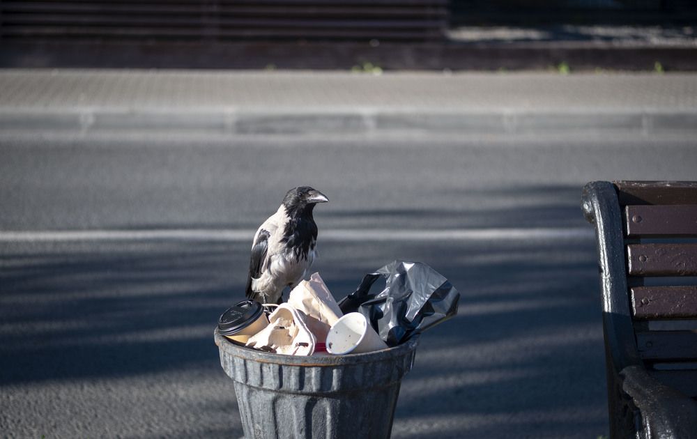 Photograph by Анна Панеева