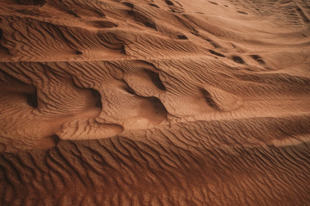 Photograph by Арина Стрябчева